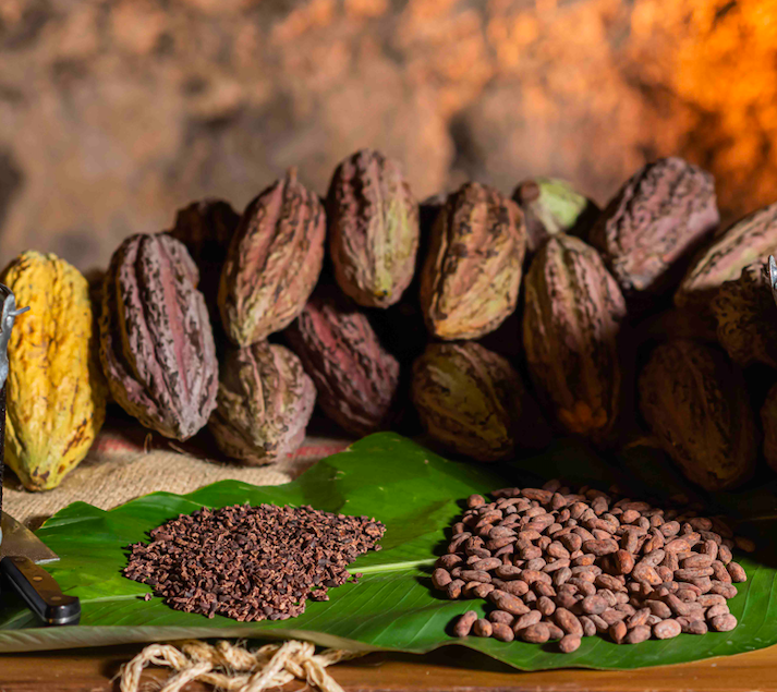 Fine aroma cacao and chocolate from Colombia