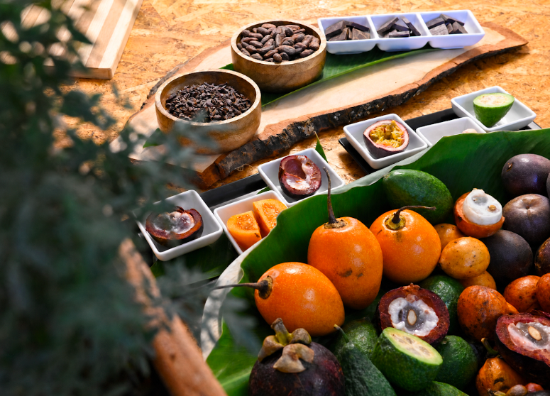 Private botanical experience by NAOS co rooted in Colombian herbal heritage