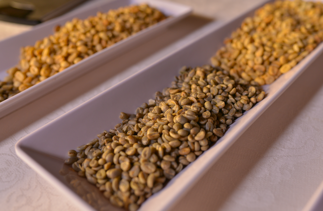 Single-origin Fine Aroma chocolate paired with high-altitude Colombian coffee